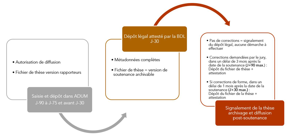 Schéma du dépôt de thèse : À J-90 à J-75 et avant J-30, saisie des données de votre thèse et dépôt de votre autorisation de diffusion et du fichier de thèse version rapporteurs dans ADUM. À J-30, vérification par la BDL des métadonnées complètes et de la version de soutenance archivable. Après soutenance, signalement du dépôt légal: si pas de corrections, aucune démarche à effectuer; ou nouveau dépôt du fichier de thèse + attestation: à J+90 max si corr. demandées par le jury; à J+30 max si corr. de forme.